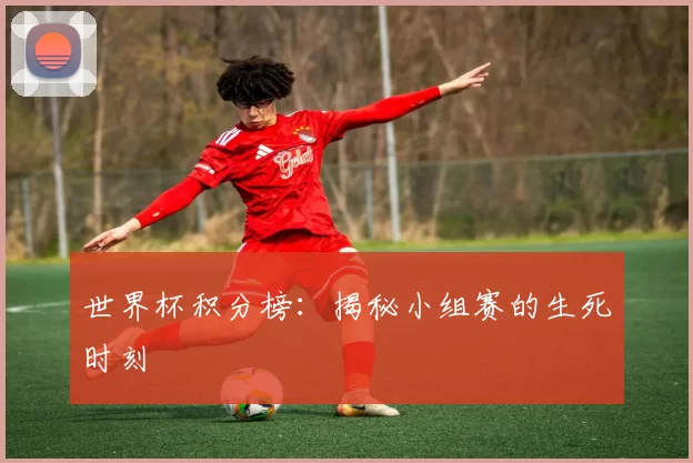 世界杯积分榜:揭秘小组赛的生死时刻