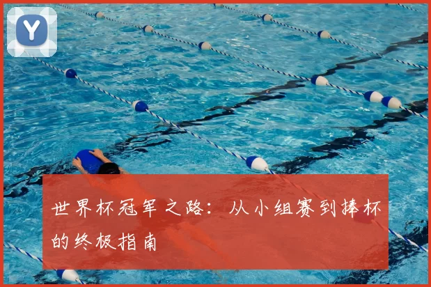 世界杯冠军之路：从小组赛到捧杯的终极指南