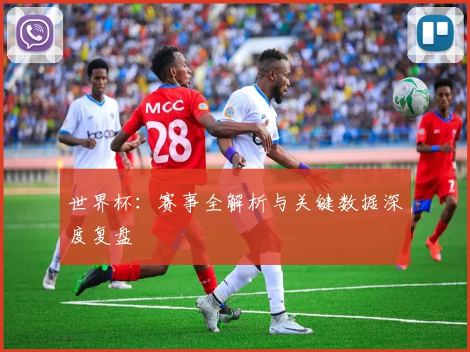 世界杯:赛事全解析与关键数据深度复盘