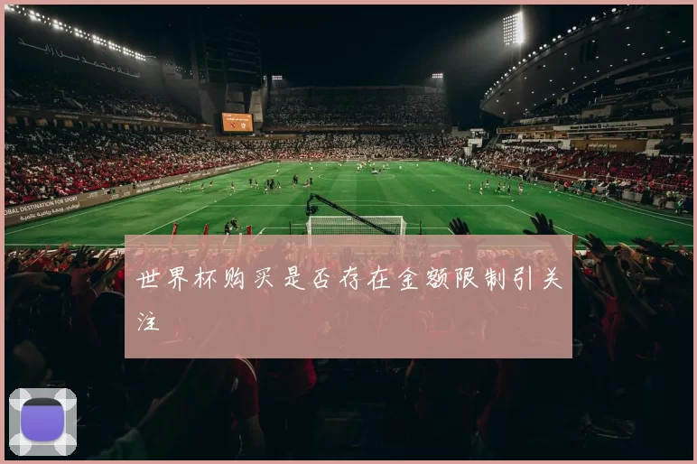世界杯购买是否存在金额限制引关注