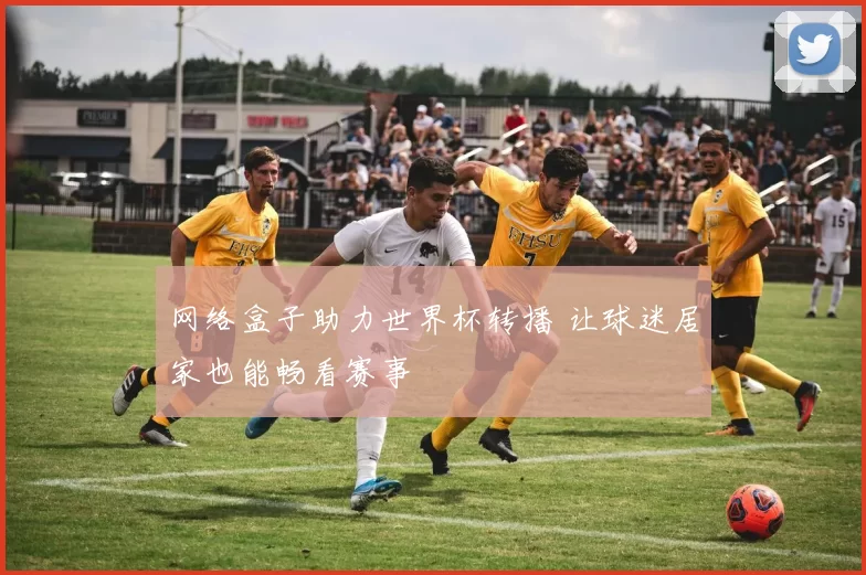 网络盒子助力世界杯转播 让球迷居家也能畅看赛事