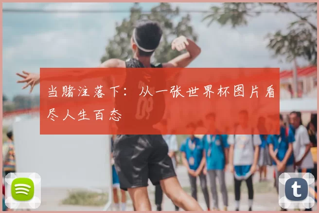 当赌注落下:从一张世界杯图片看尽人生百态