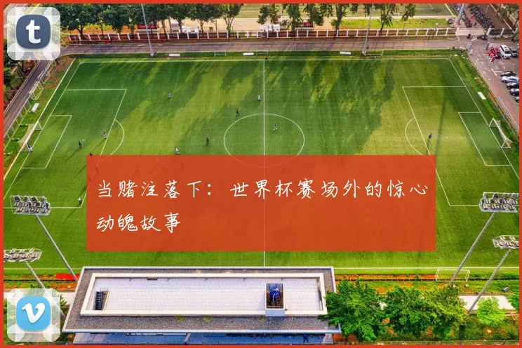 当赌注落下:世界杯赛场外的惊心动魄故事