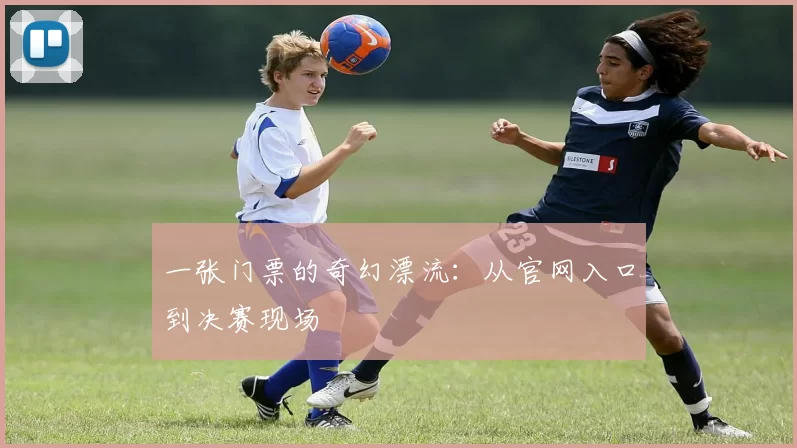 一张门票的奇幻漂流：从官网入口到决赛现场