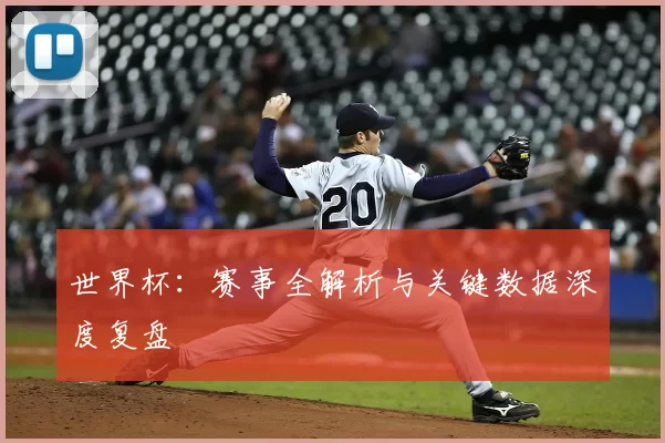 世界杯:赛事全解析与关键数据深度复盘