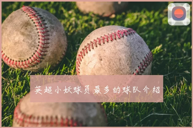 英超小妖球员最多的球队介绍