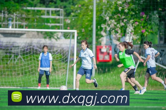 App Interface Preview