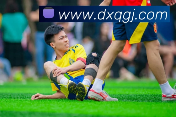 买球官网APP 封面图